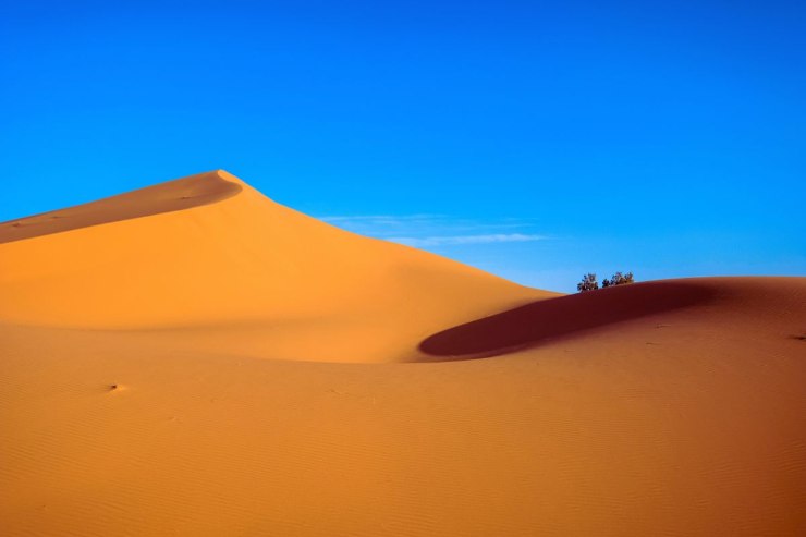 deserto
