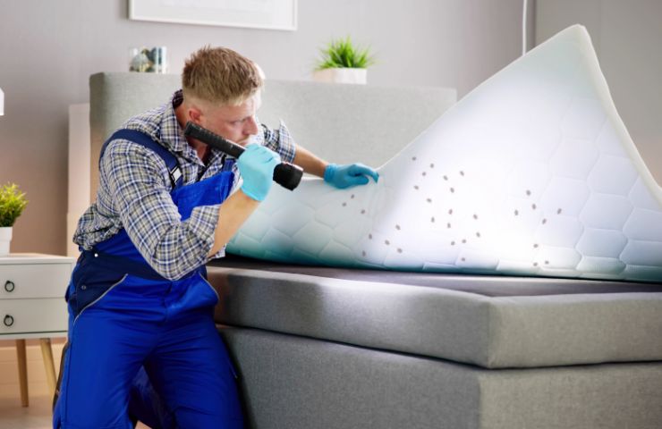 uomo che controlla sotto al materasso le cimici