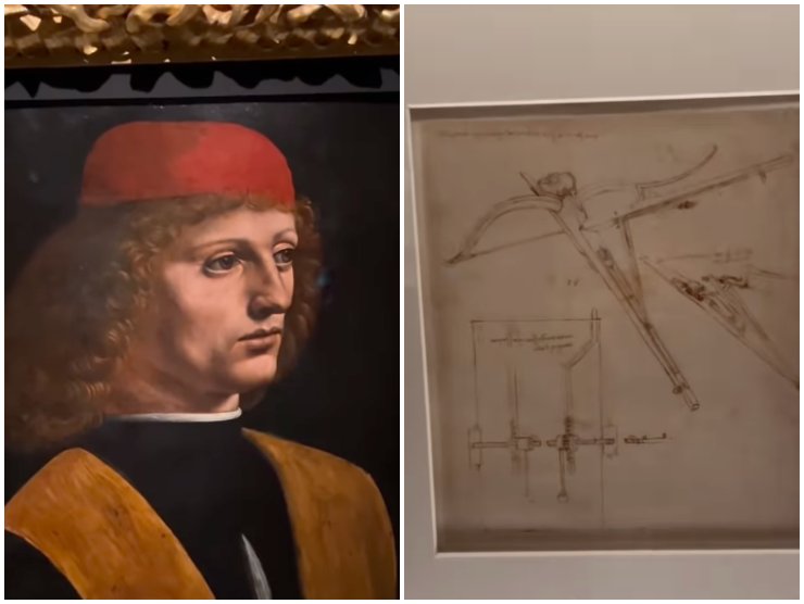 collage video pinacoteca ambrosiana 