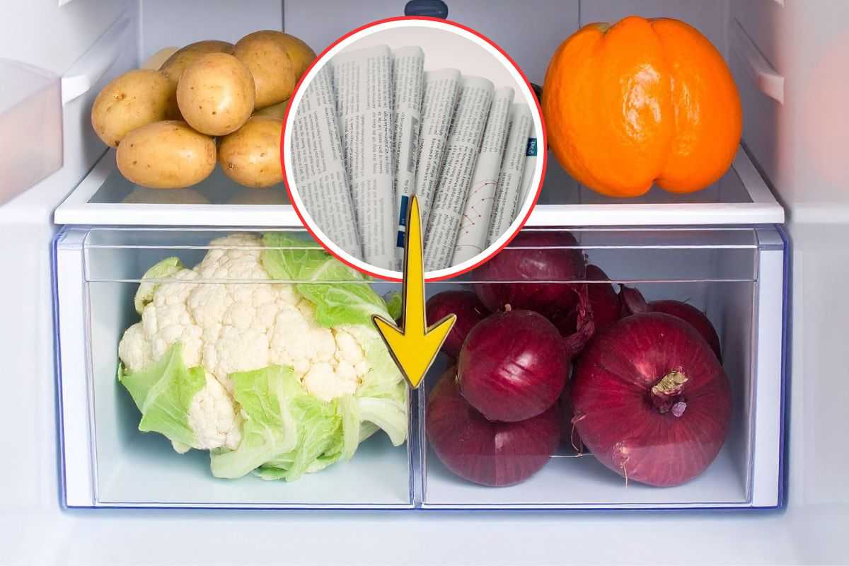interno del frigo pieno di verdure, fogli di giornale e freccia che indica il cassetto