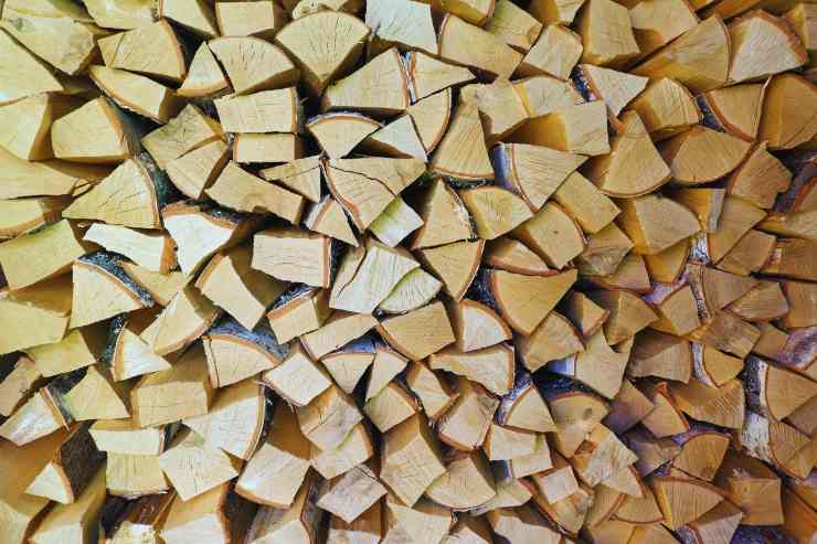 catasta di legna